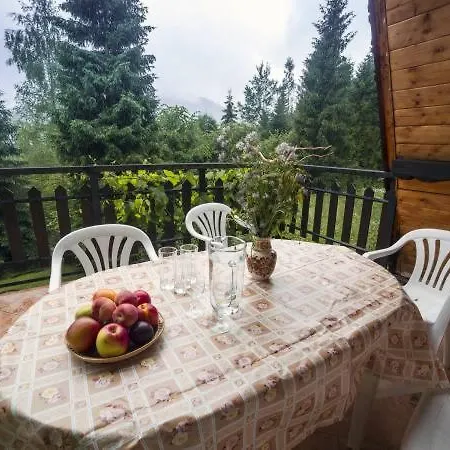 شاليه Willa Partykowka Poręba Wielka